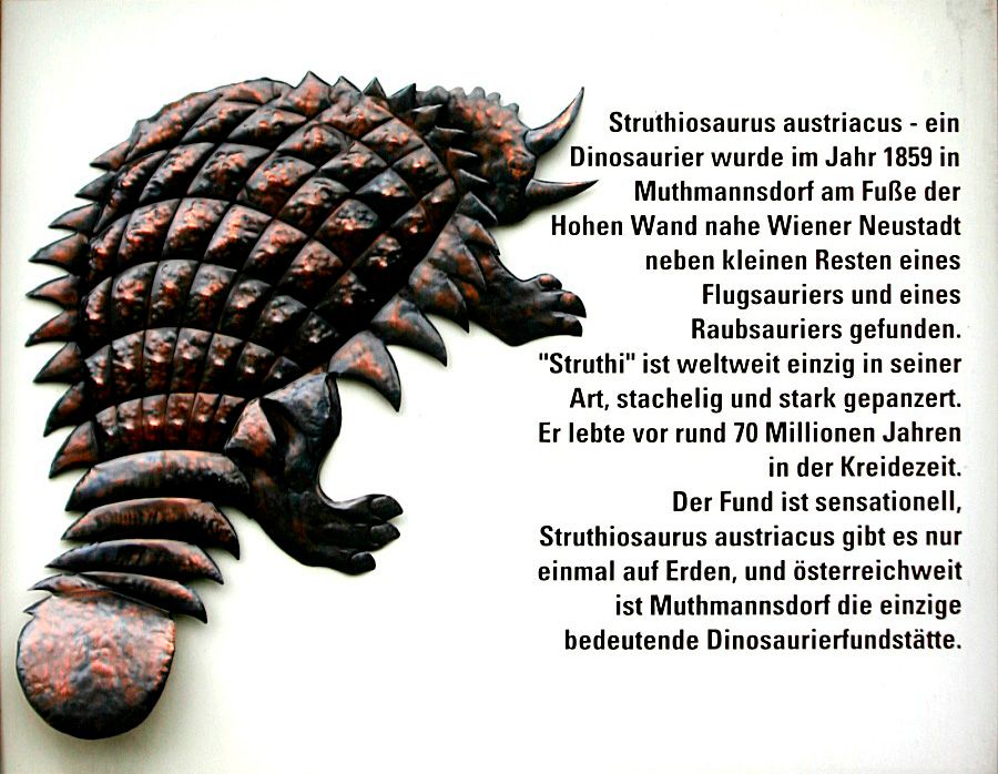 Relief of an armored dinosaur with text about the Struthiosaurus austriacus.