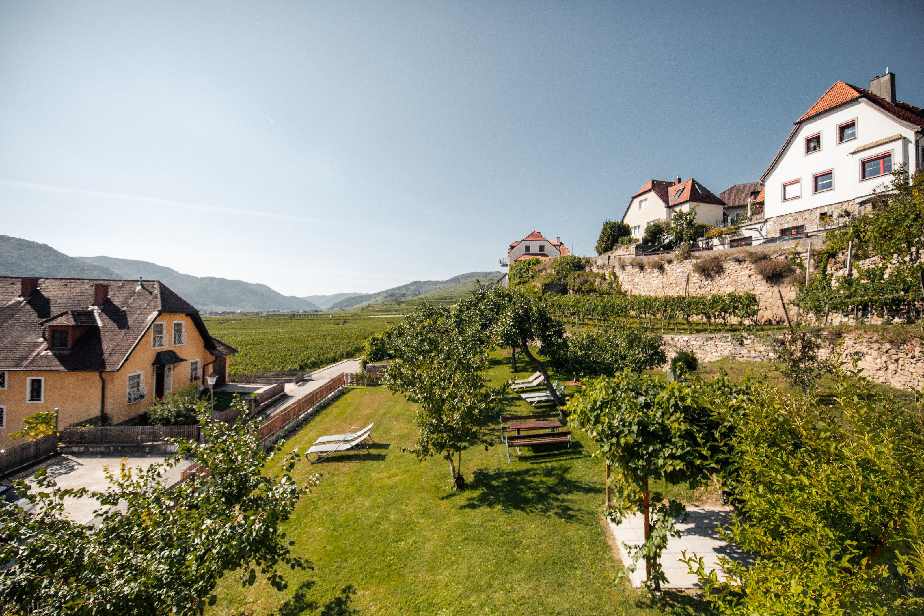 Vineyards and houses in a hilly landscape under a clear sky.
