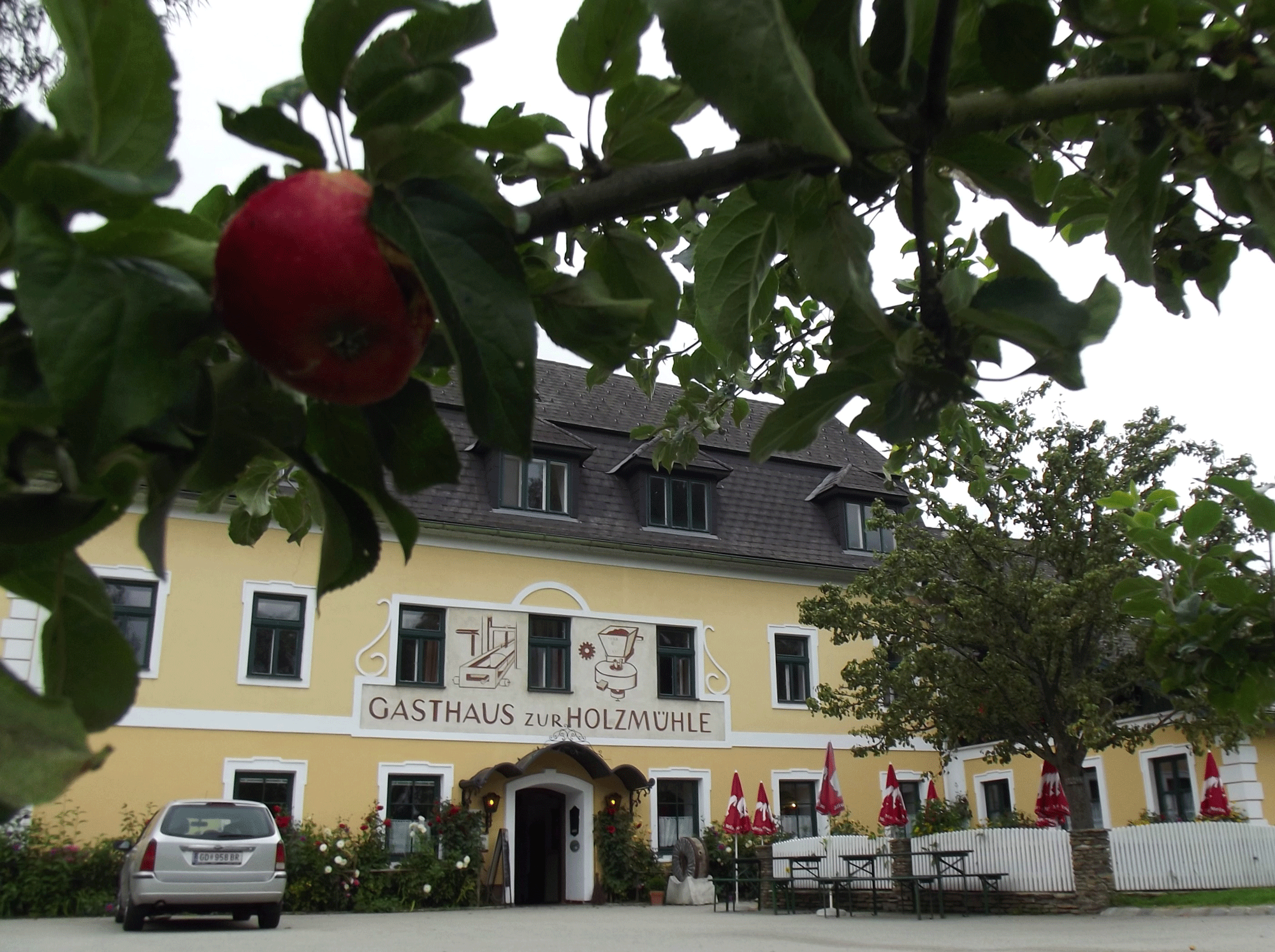 Holzmühle Inn & Pony Farm