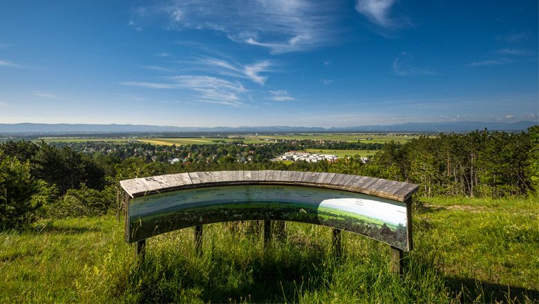 Panoramic view from a vantage point with information board, in the background a wide landscape and blue sky.