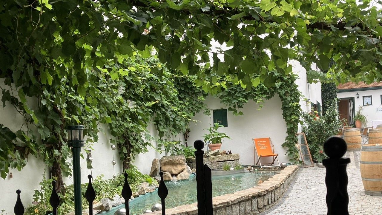 An inner courtyard with vines, a small pond and a sun lounger.
