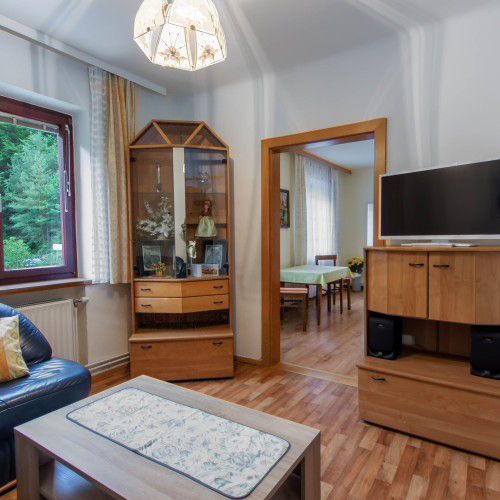 Living room with glass cabinet and wooden display case