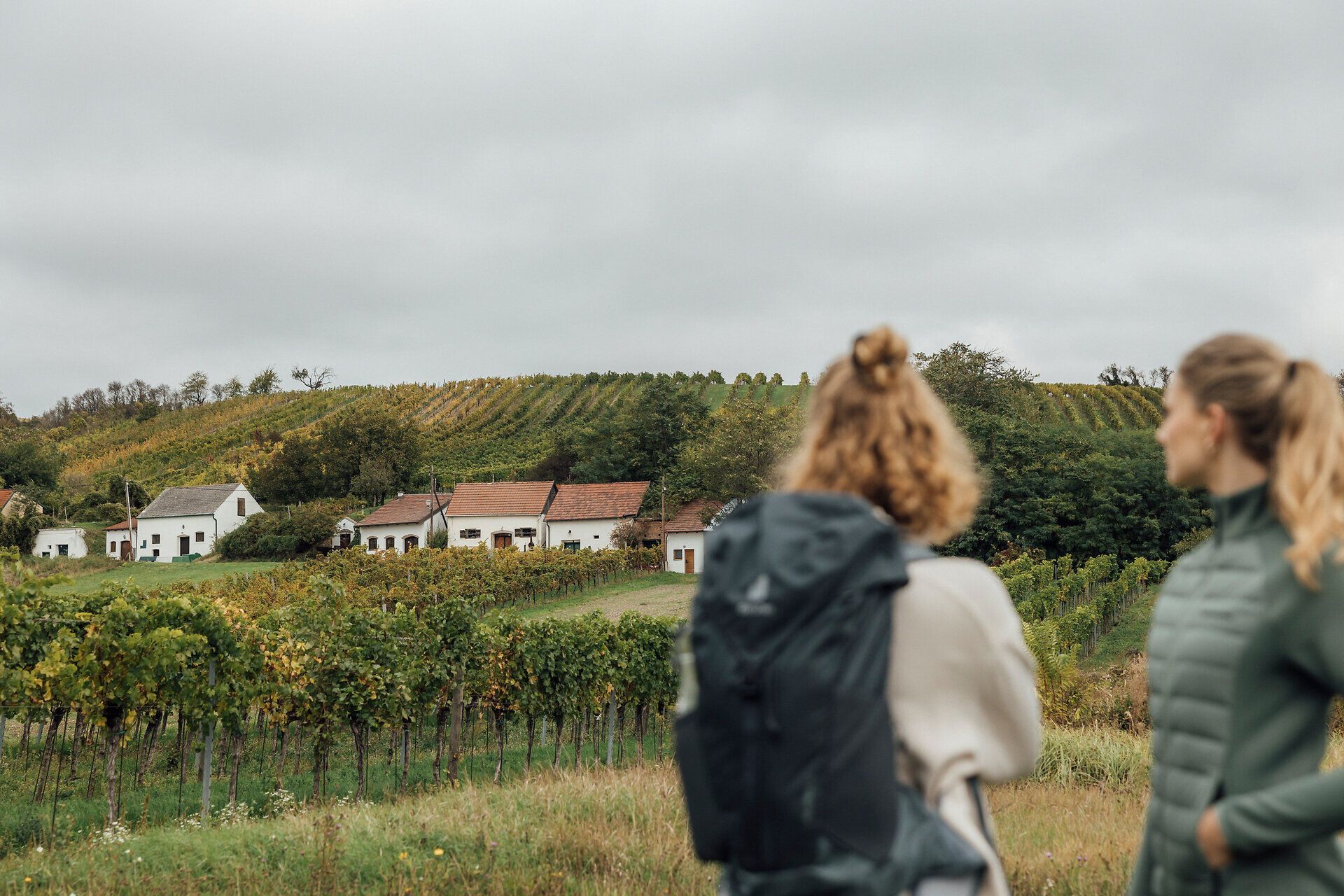 Sanfte Hügel und üppige Weingärten laden zu einem unvergesslichen Weinwandern ein. Die frische Luft und die malerische Landschaft schaffen eine perfekte Kulisse für entspannte Stunden in der Natur. Genießen Sie die Aussicht auf die idyllischen Kellergassen und die charmanten Weinhäuser.