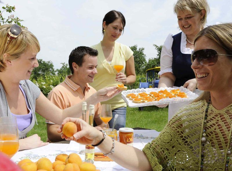 Group of people tasting apricot products outdoors.