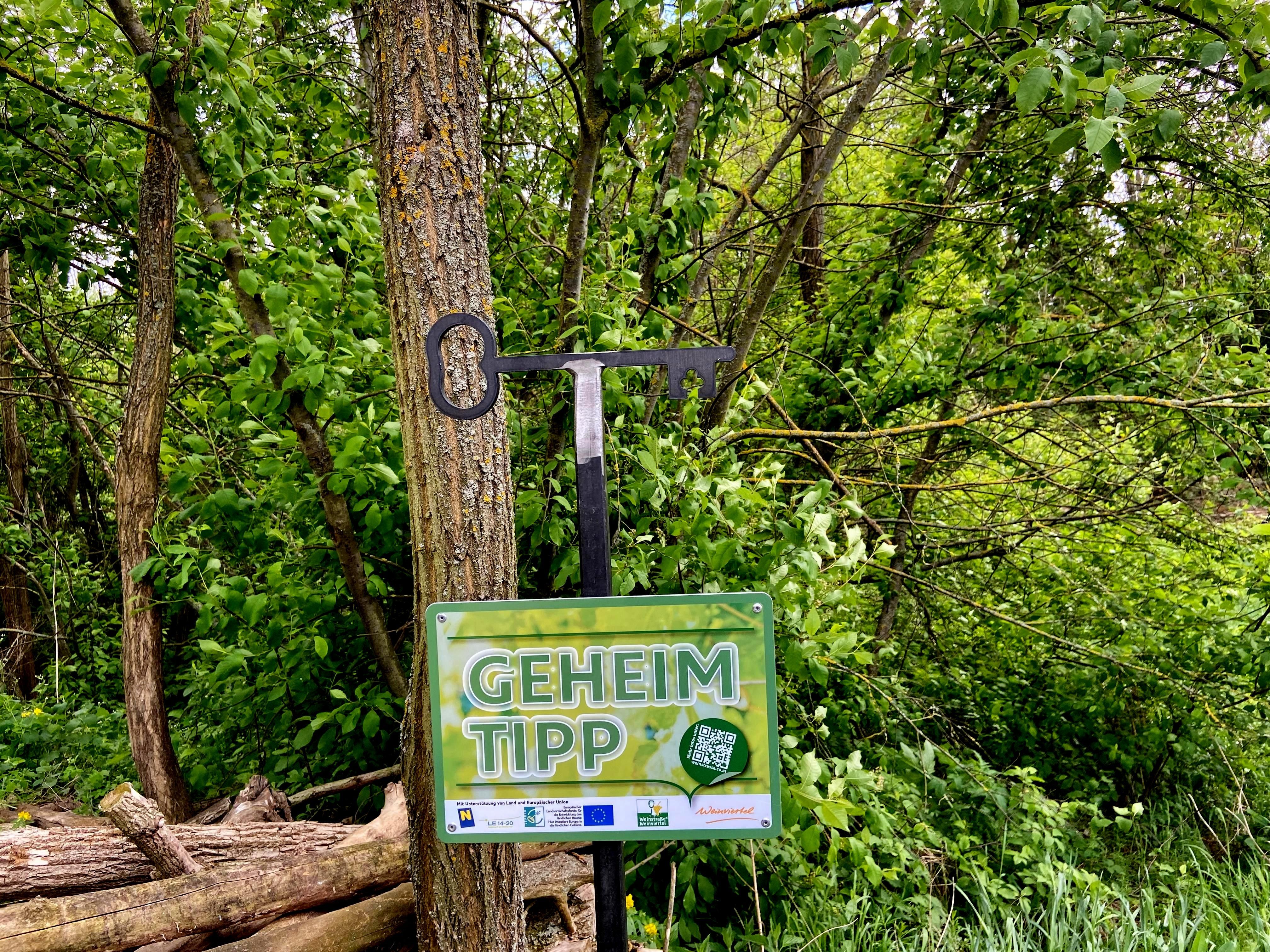 A sign with the inscription 'Insider tip' in front of a tree in a wooded area.