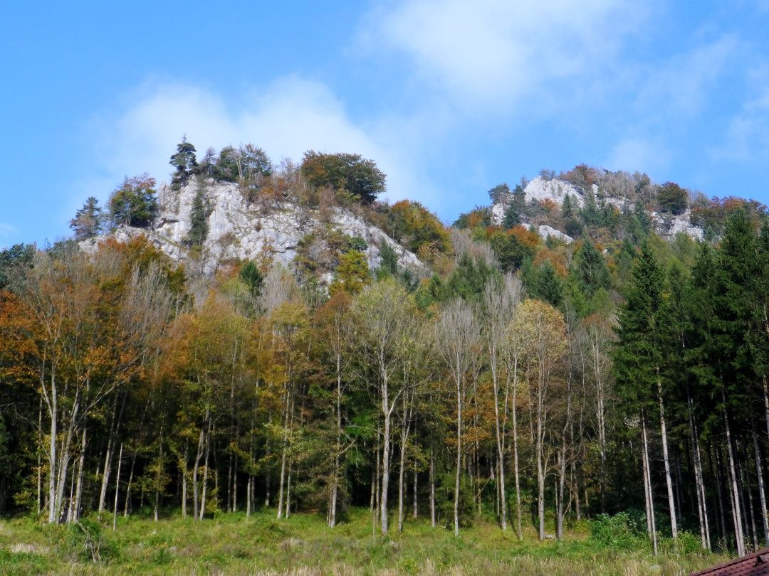View of the Prochenberg