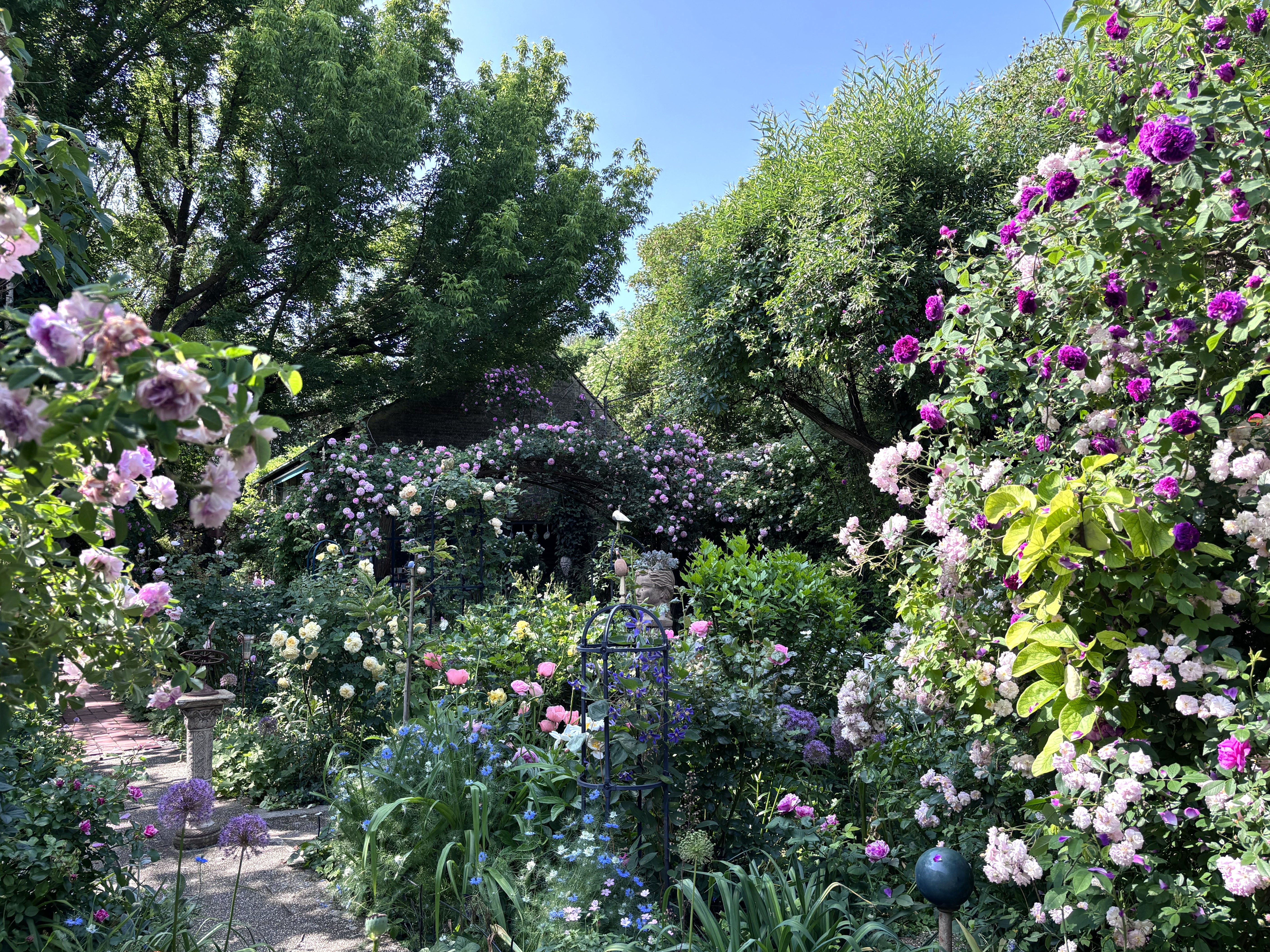 A blooming garden with various roses and trees under a blue sky.