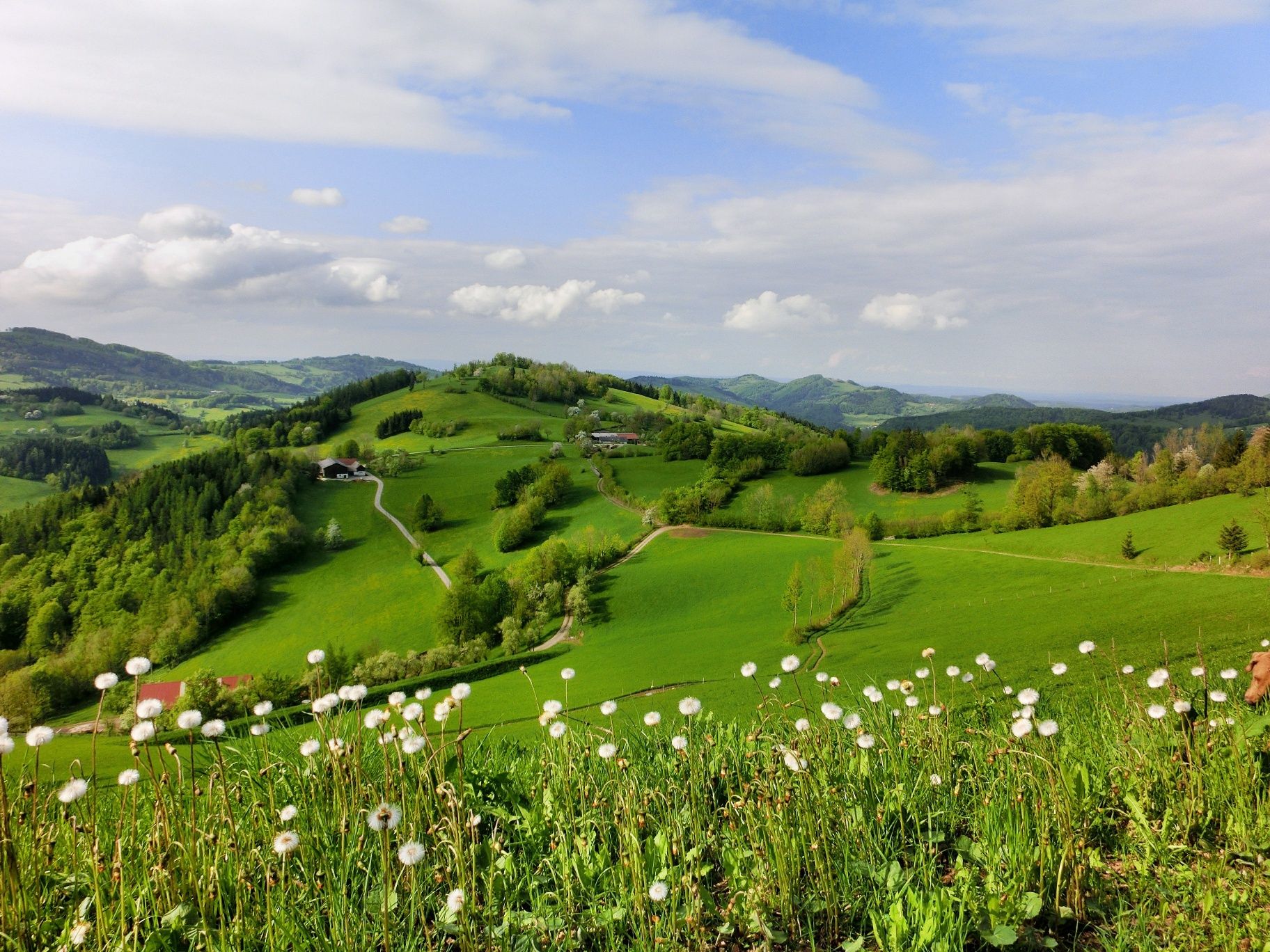 View "Stuben"