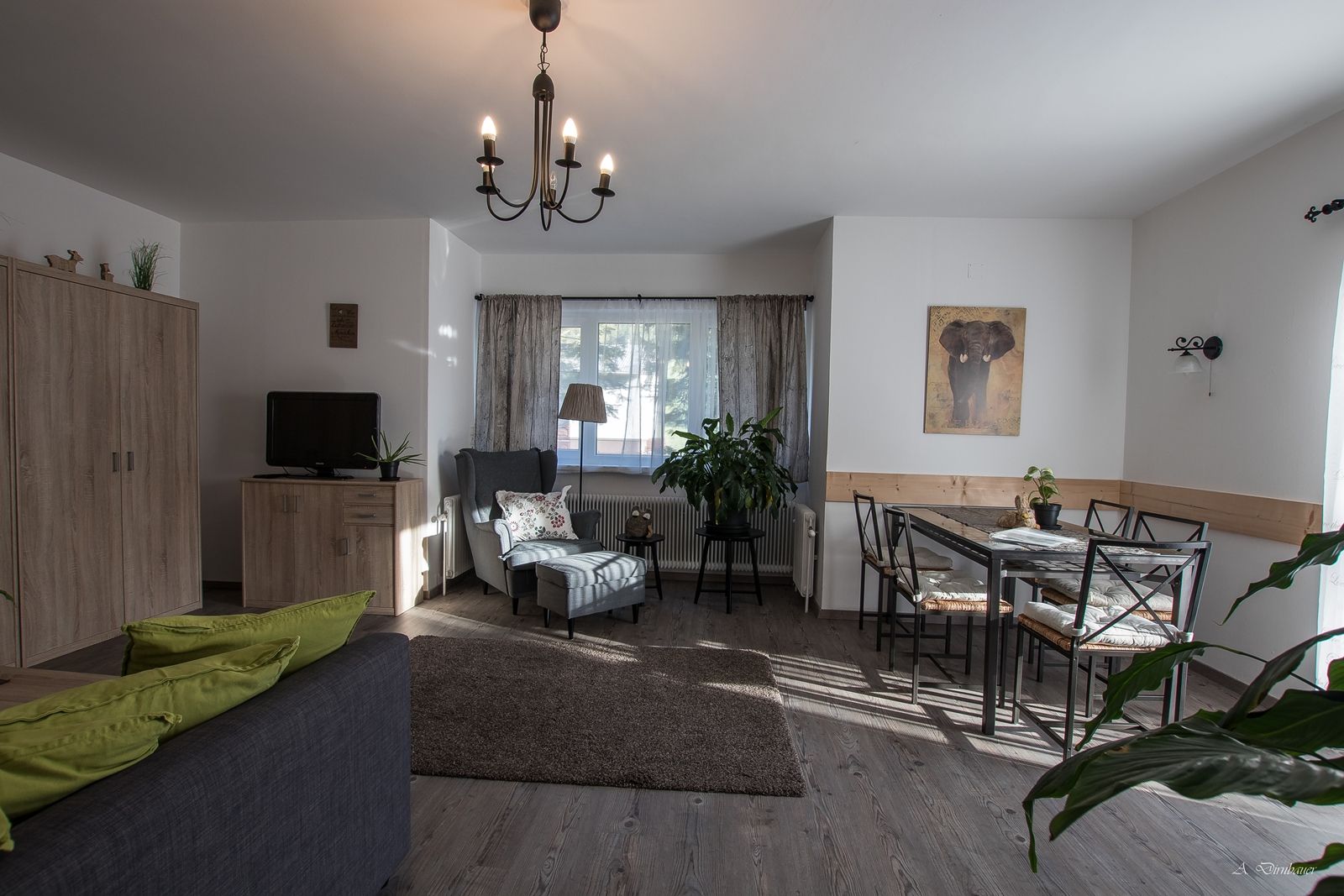 Cozy living room with sofa, armchair, dining table and plants.