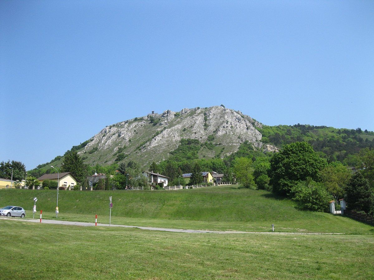 View of the Braunsberg with houses in the foreground and blue sky.