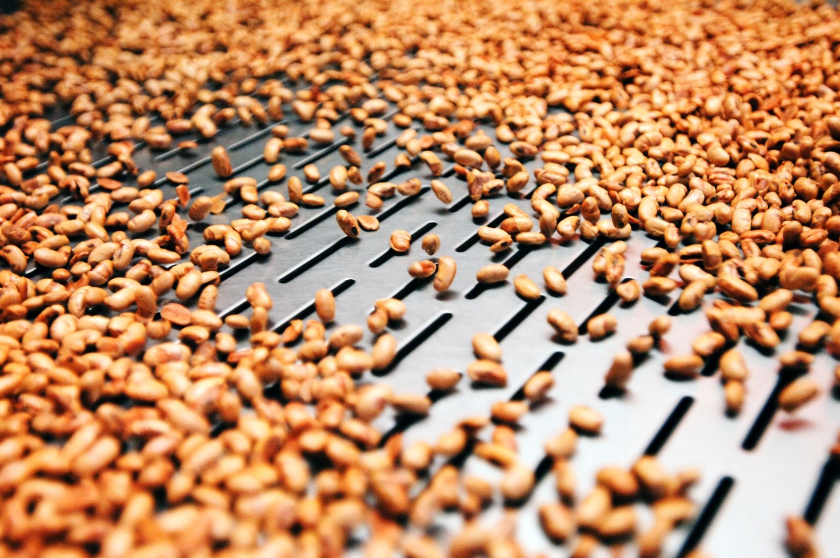 Landgarten snack store, production