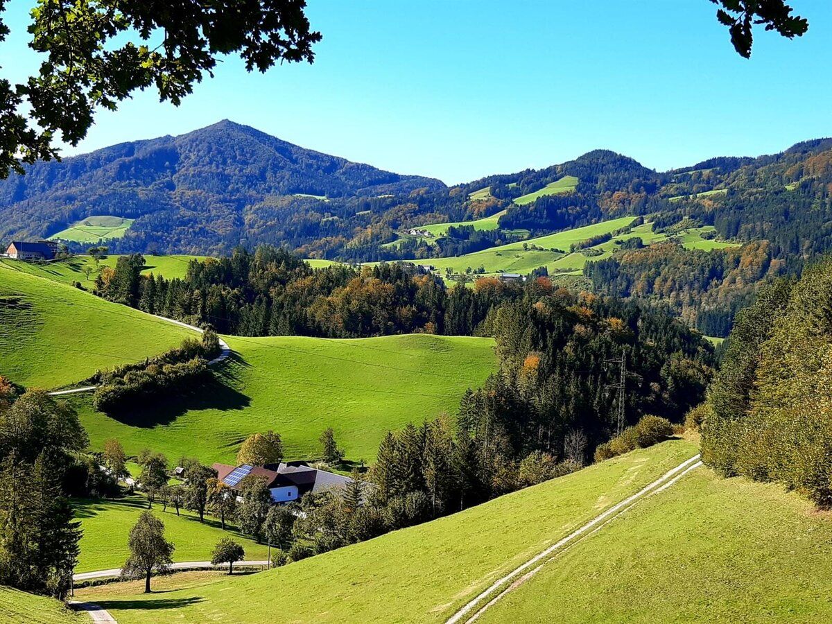 Vacation on the farm-Oberrehau