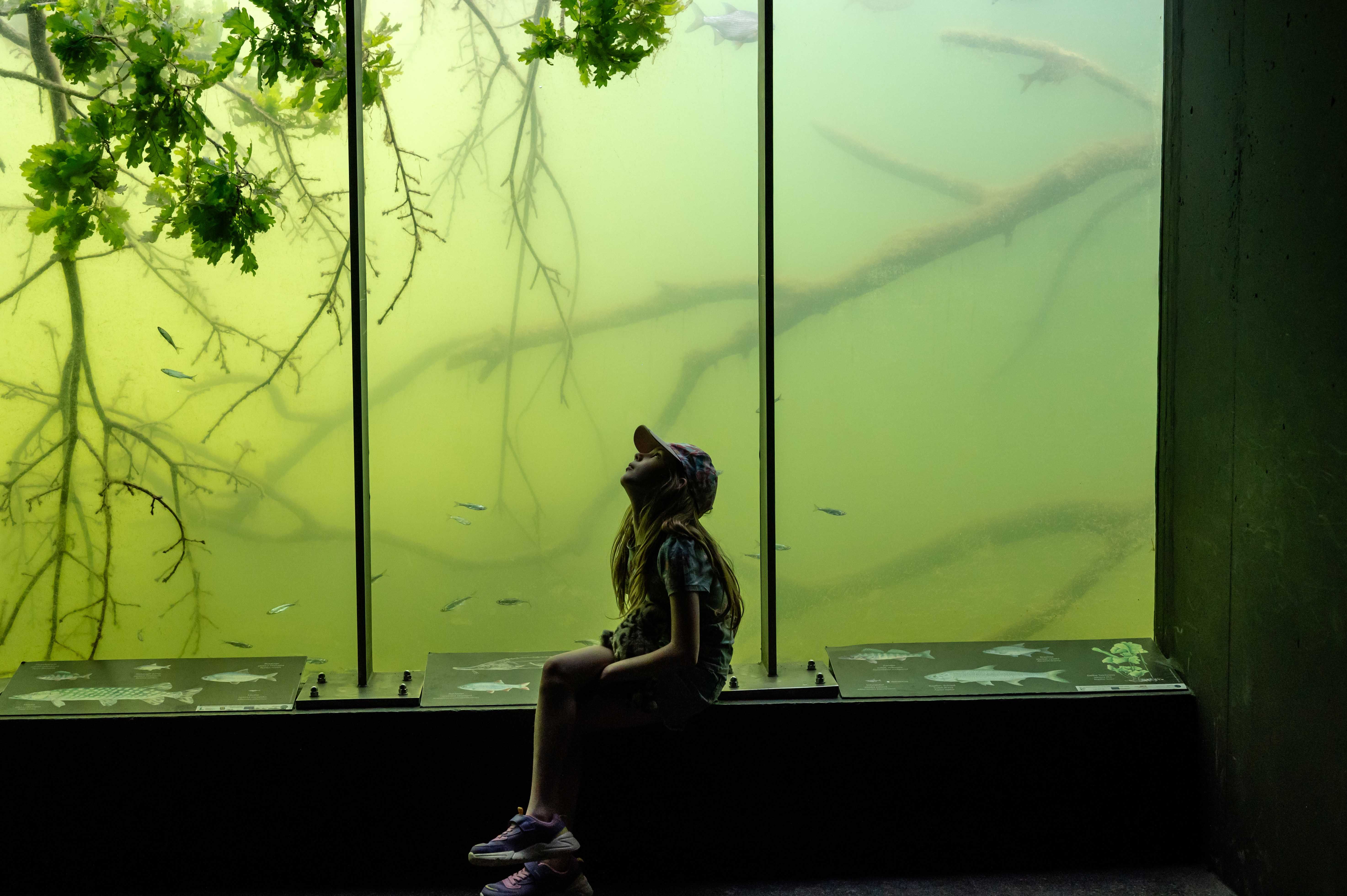 Child in the underwater station