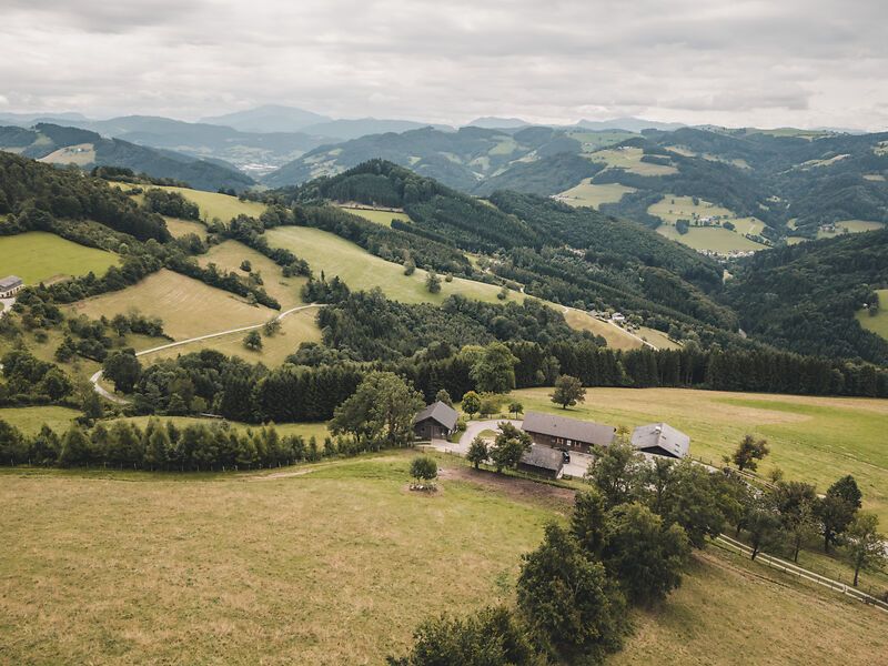 DJI_20250723173722_0059_D