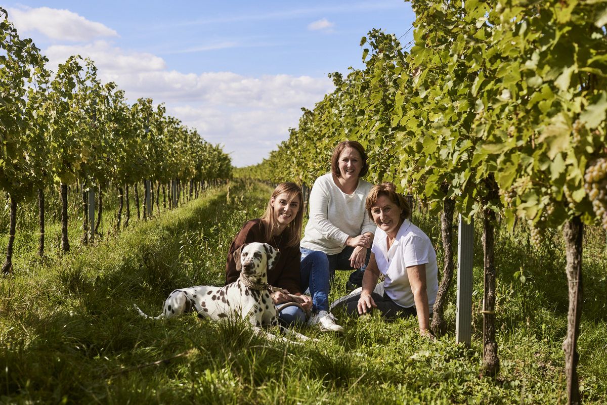 Three women and a Dalmatian in a vineyard.