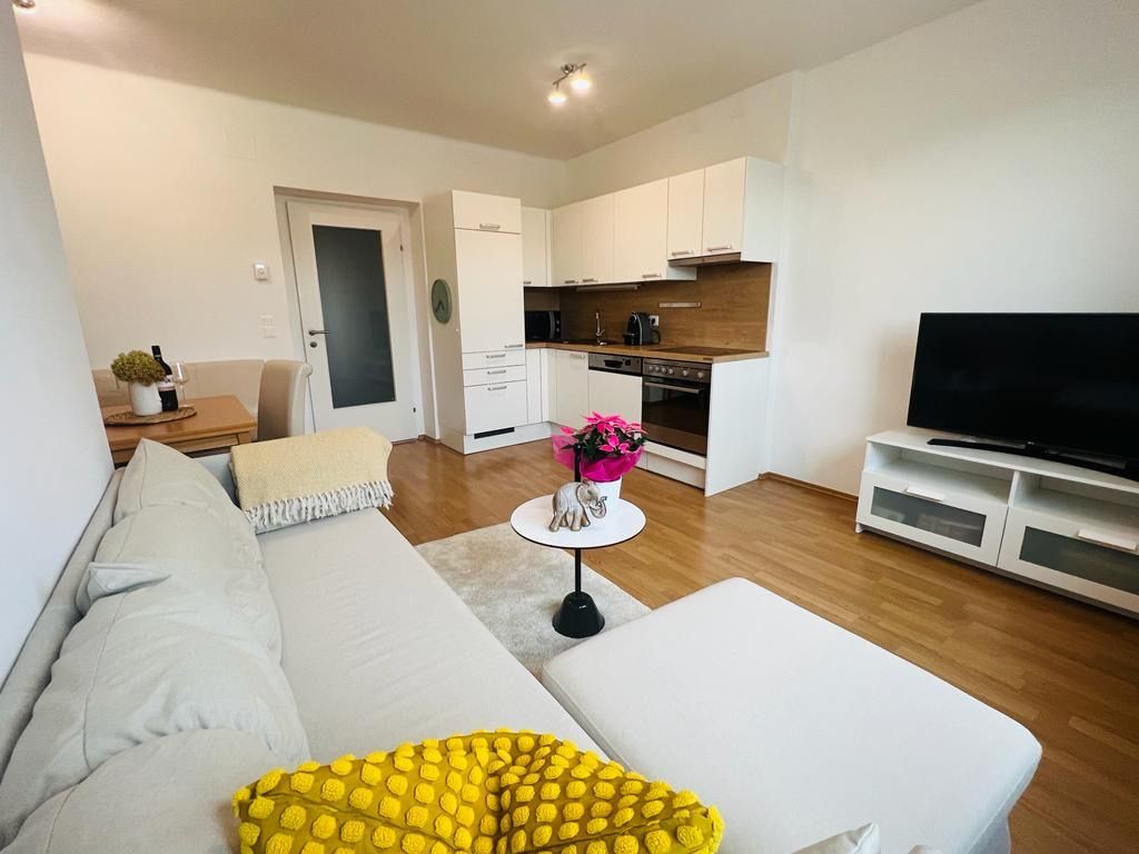 Modern eat-in kitchen with sofa, dining table, kitchenette and TV.