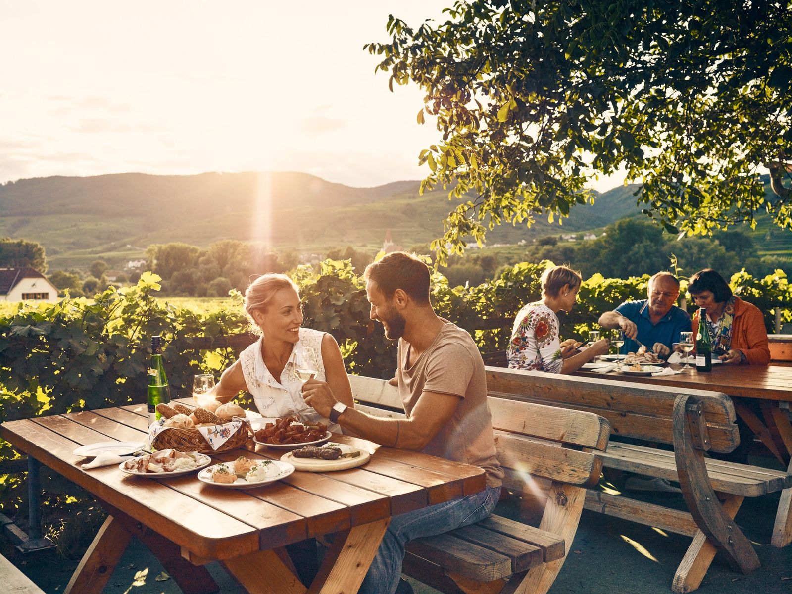 Stop off at a wine tavern