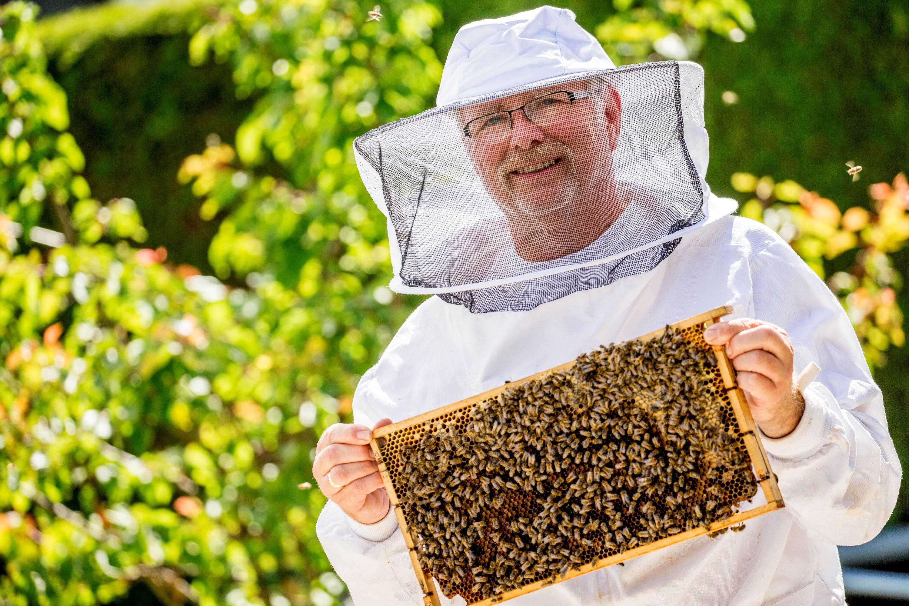 Organic beekeeping Niklas