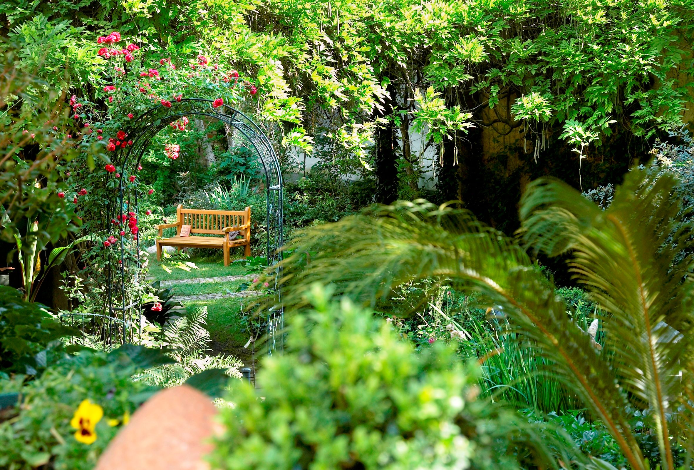 An idyllic garden with a wooden bench under a rose arch.