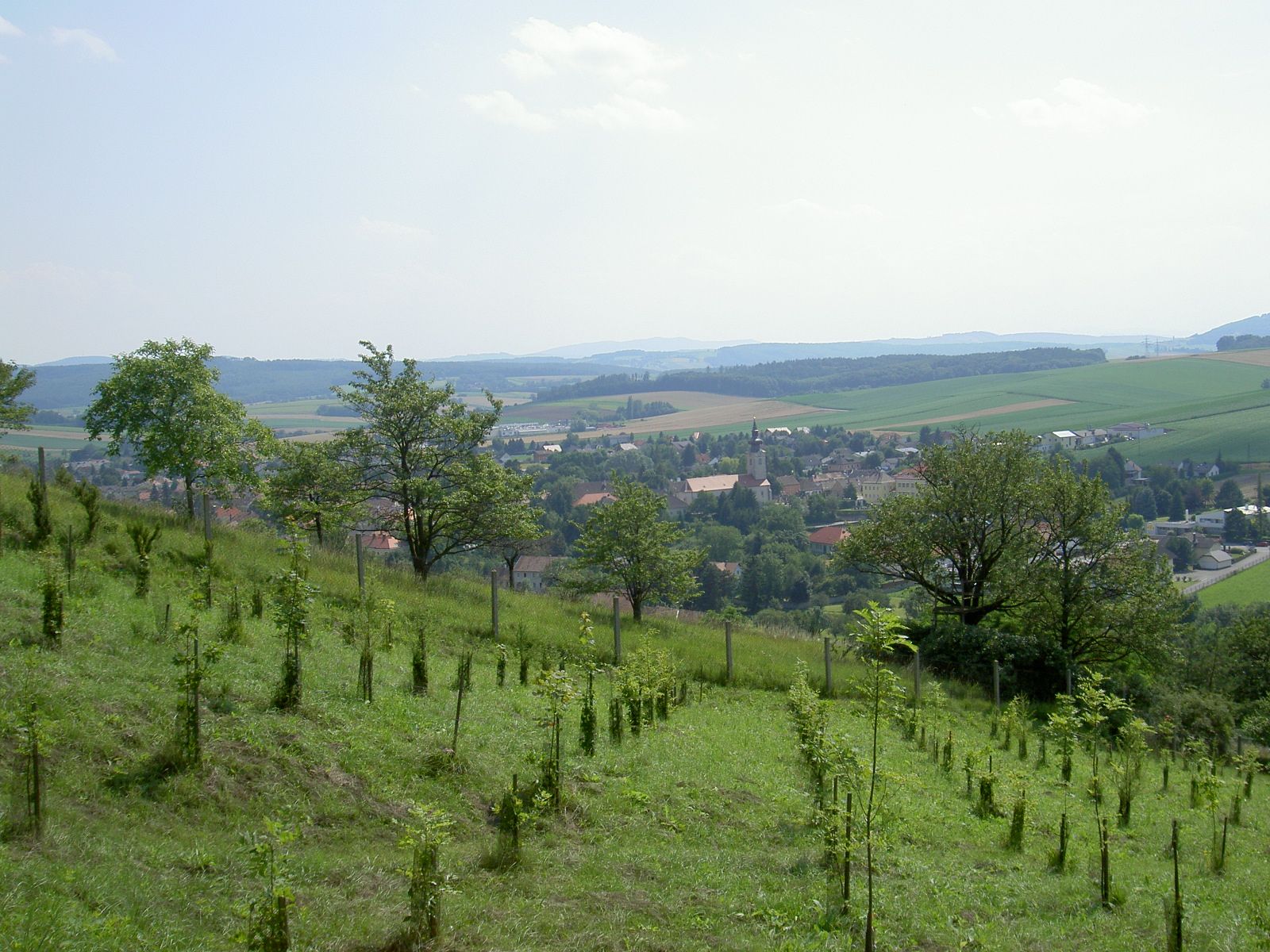 Landscape with hills, trees and a village in the background.