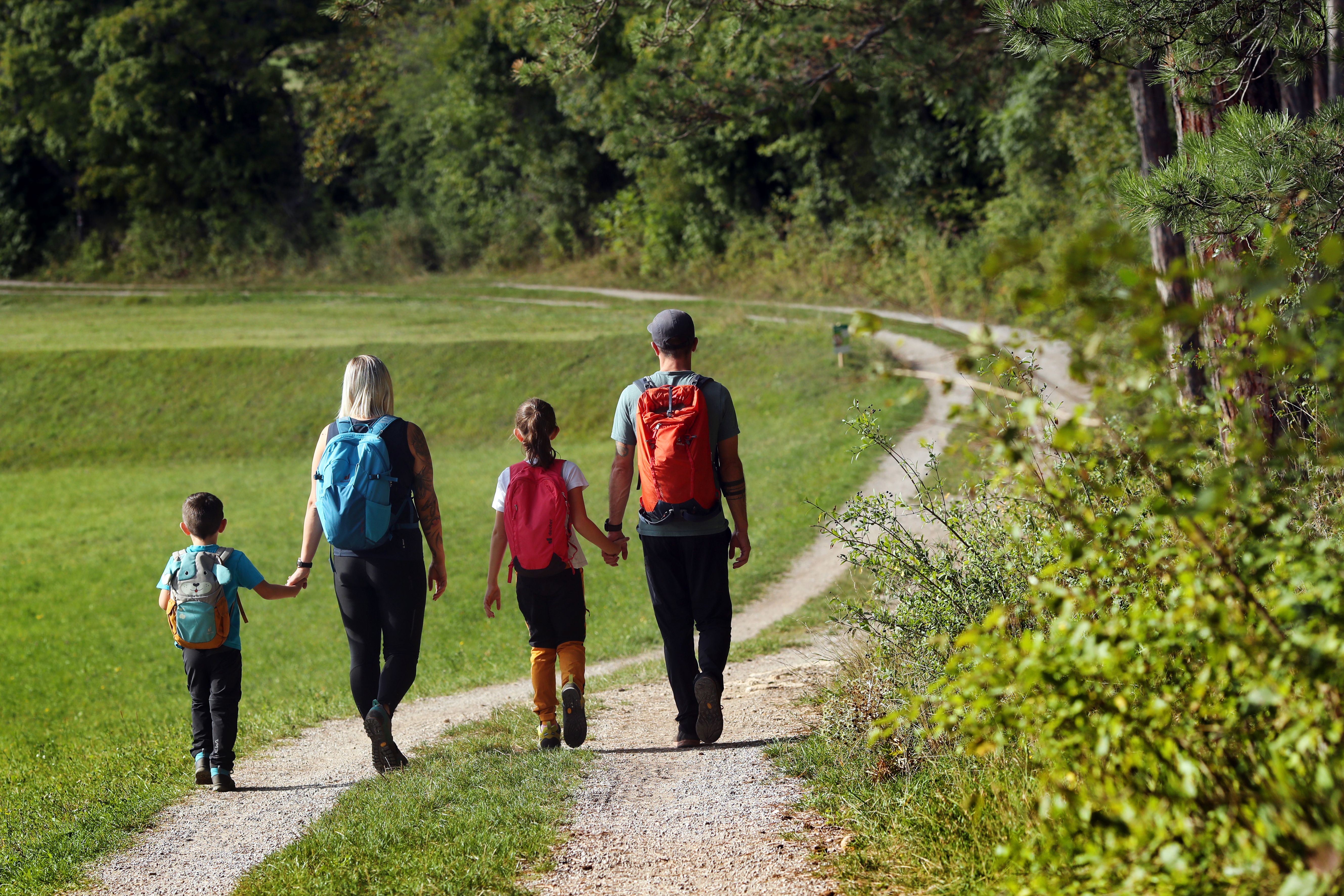 A family walks along a path through a green landscape.