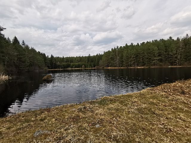 Deer pond