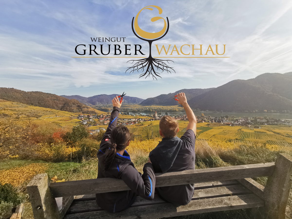 Two people sit on a bench and look out over the vineyards of the Wachau. Hills and a river can be seen in the background.