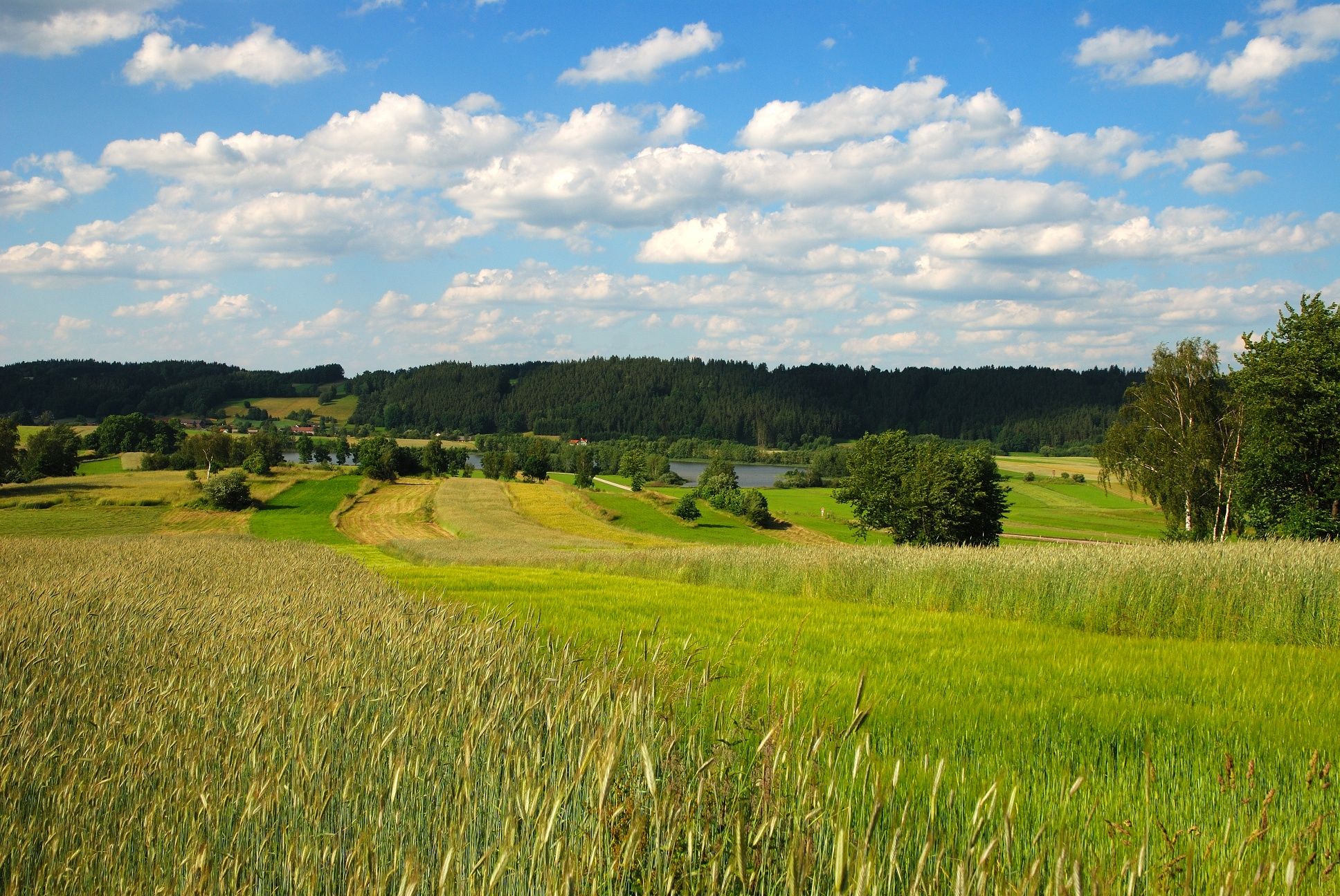 Photo: Archive Waldviertel Tourismus; Photo: Reinhard Mandl