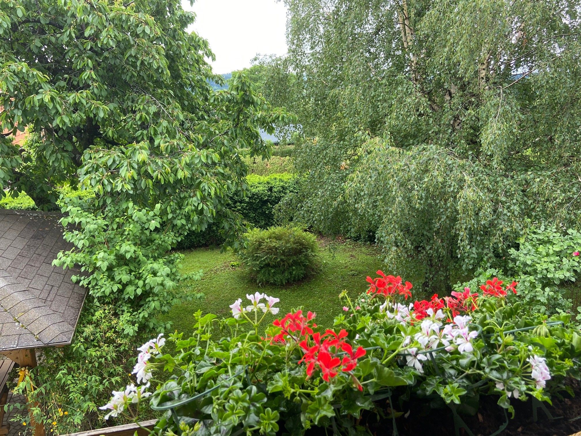 View from the balcony onto a green garden with trees and red and white flowers in the foreground.