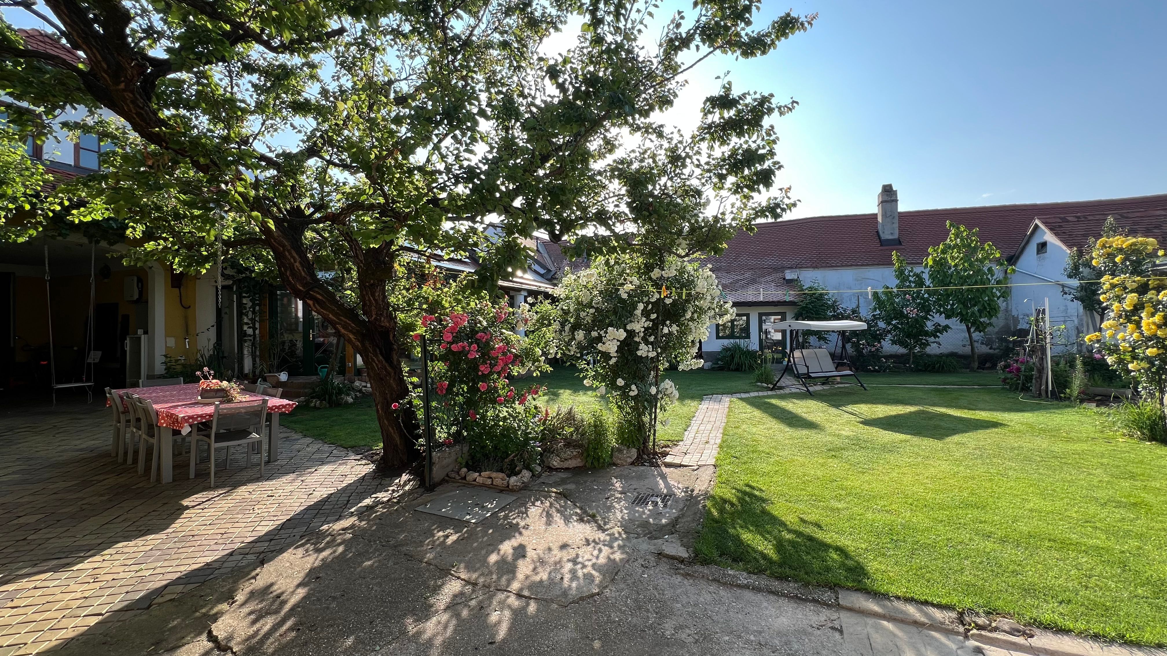 A sunny garden with table, chairs, flowers and a swinging bench.