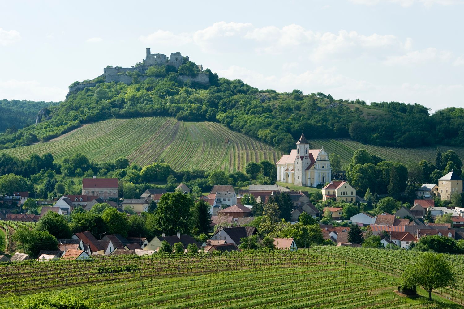 View of the Falkenstein castle ruins on a hill, surrounded by vineyards and a village with a church.