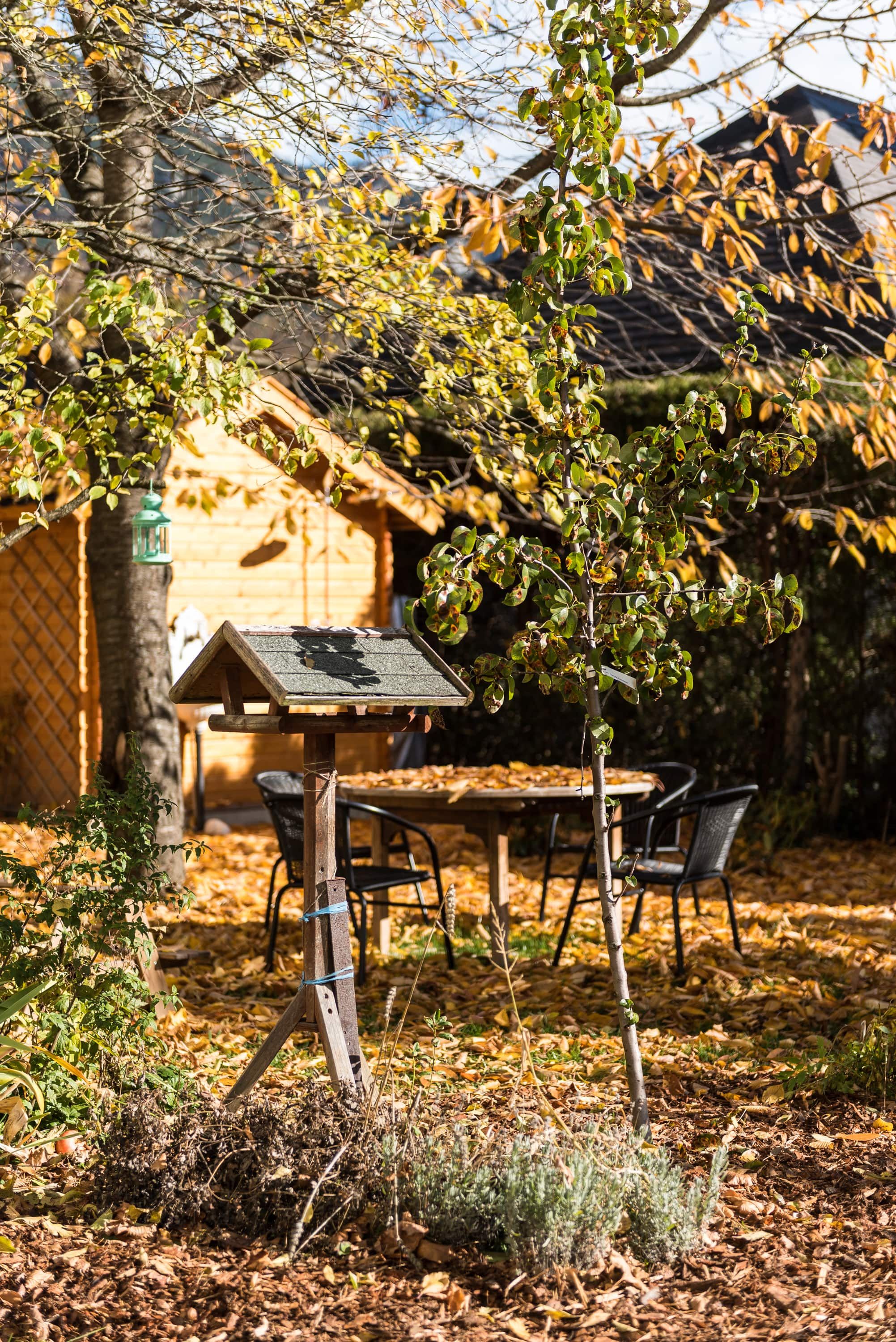 An autumnal garden covered with leaves, a birdhouse in the foreground, a table and chairs in the background, surrounded by trees and a wooden house.