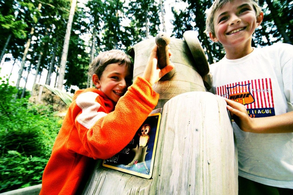 Two smiling children playing on a wooden play set in the forest.