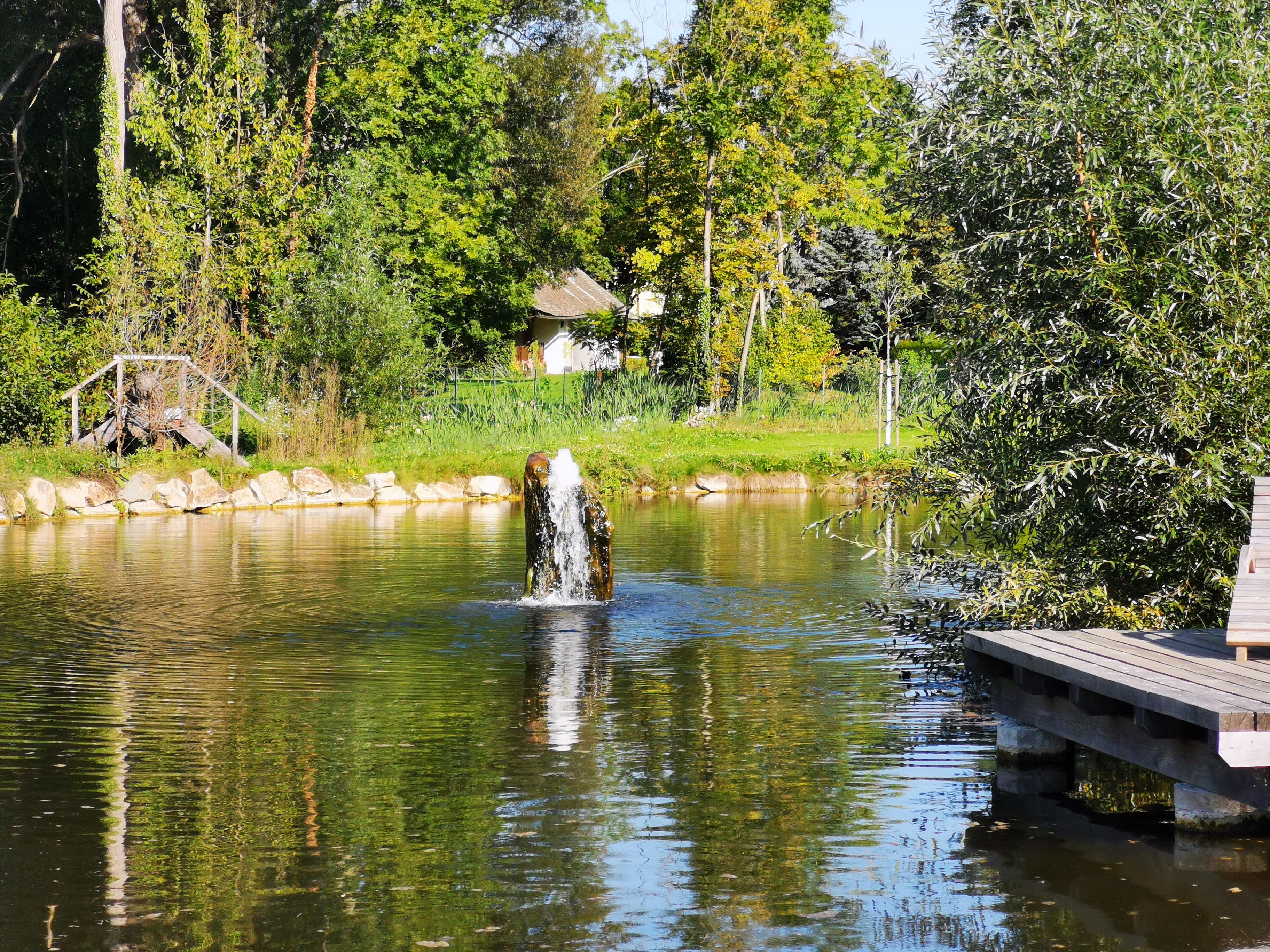 A pond with a small fountain, surrounded by trees and a wooden walkway.