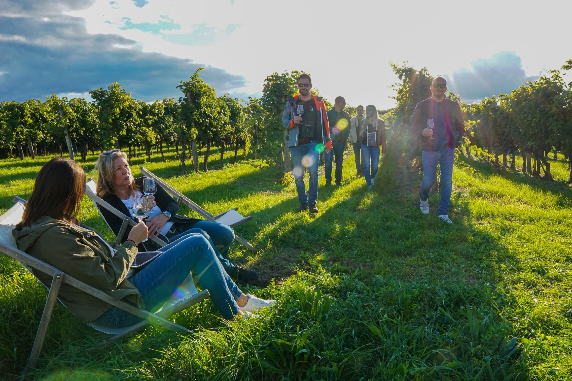 Gruppe im Weingarten