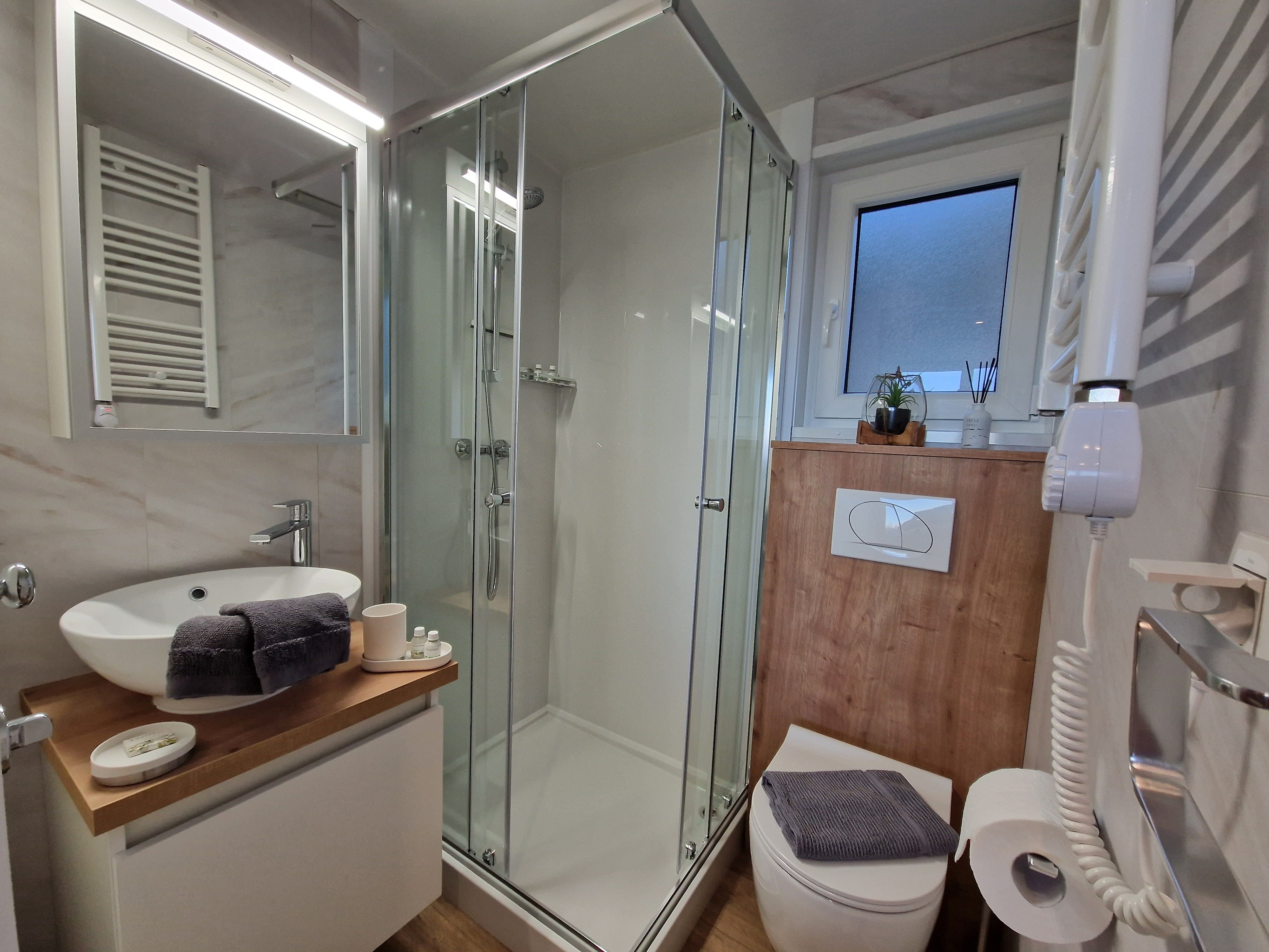 Modern bathroom with shower, washbasin and toilet.