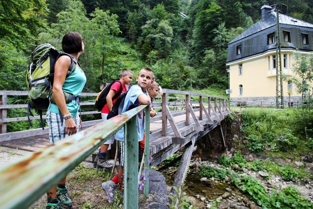 A group of people are standing on a wooden bridge in a green, wooded setting. A yellow building can be seen in the background.