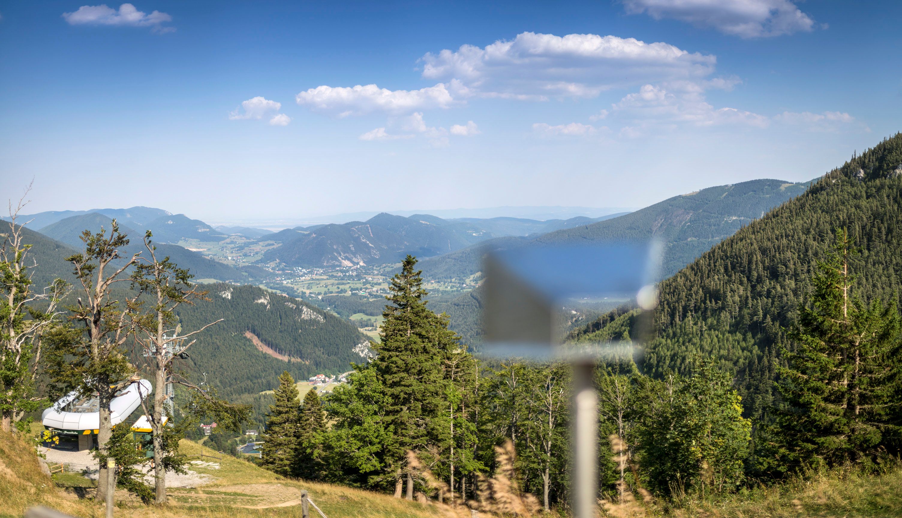 View from the Edelweißhütte to the Schneeberg with green forests and mountains in the background.
