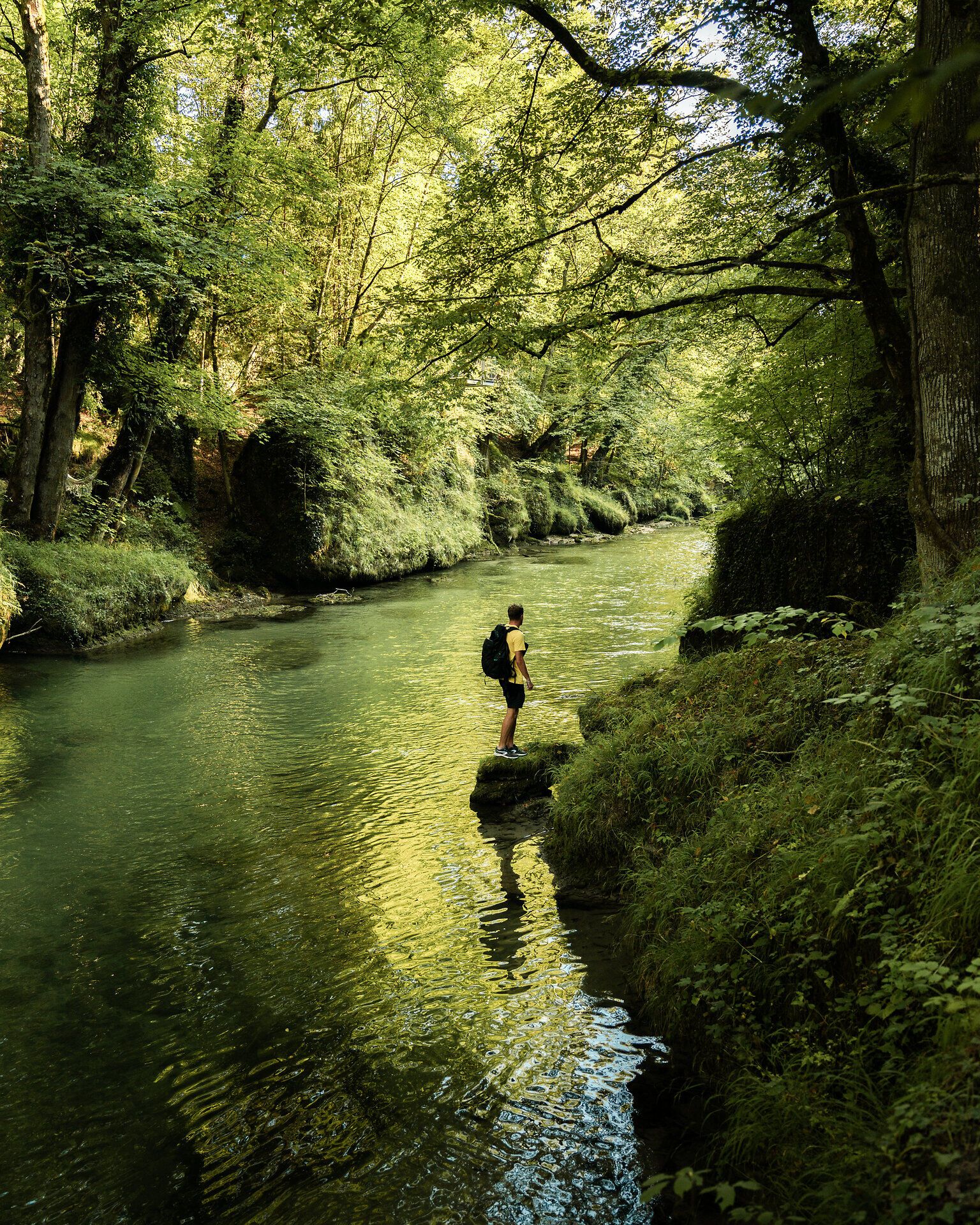 Erlauf Gorge, Mostviertel