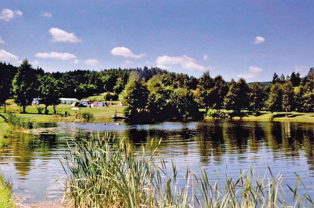 An idyllic campsite with tents on the shore of a lake, surrounded by trees and meadows under a blue sky.