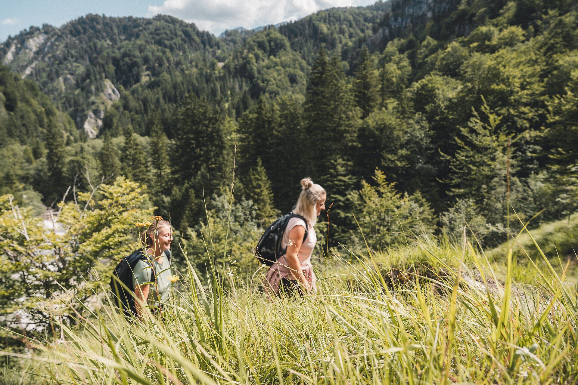 Dürrenstein Wilderness Area