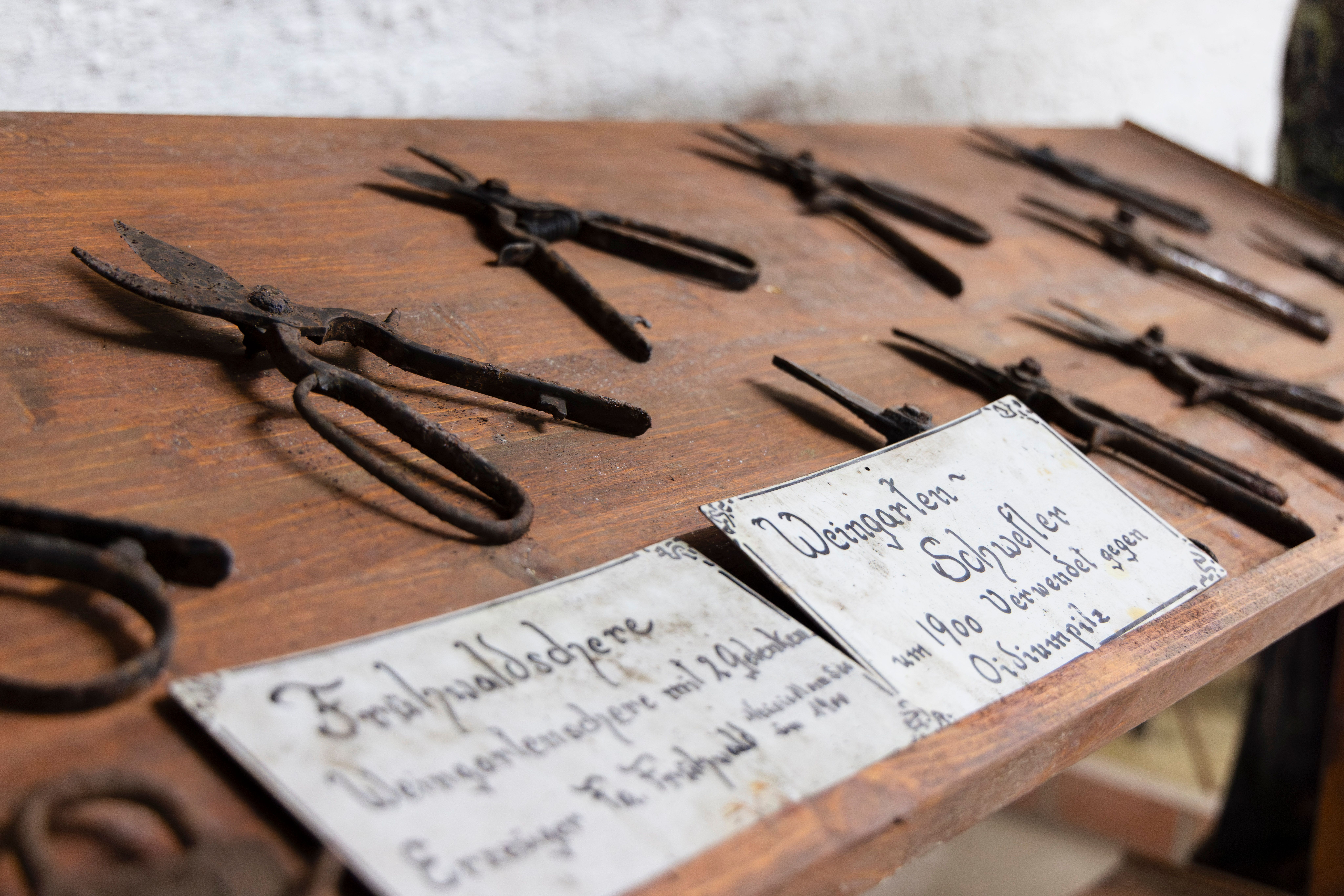 Historic vineyard shears