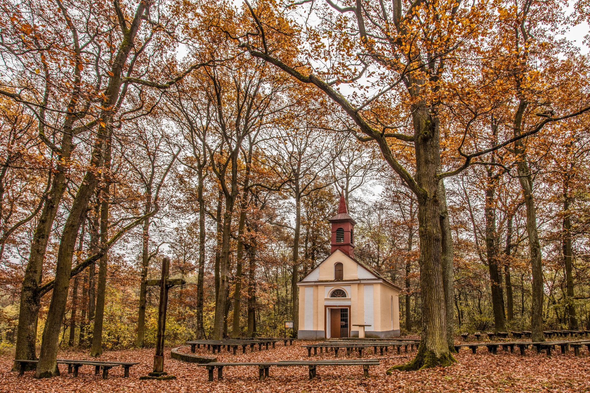 A small chapel in the forest, surrounded by autumnal trees and leaves on the ground.