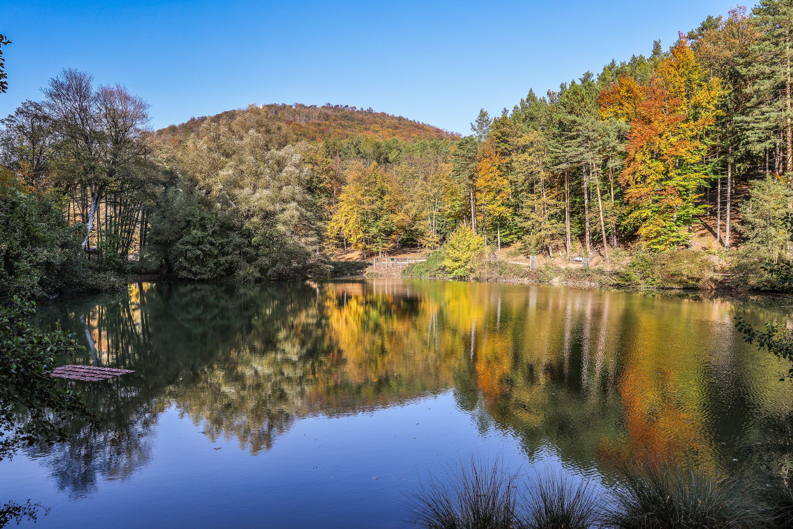 Sparbach Nature Park