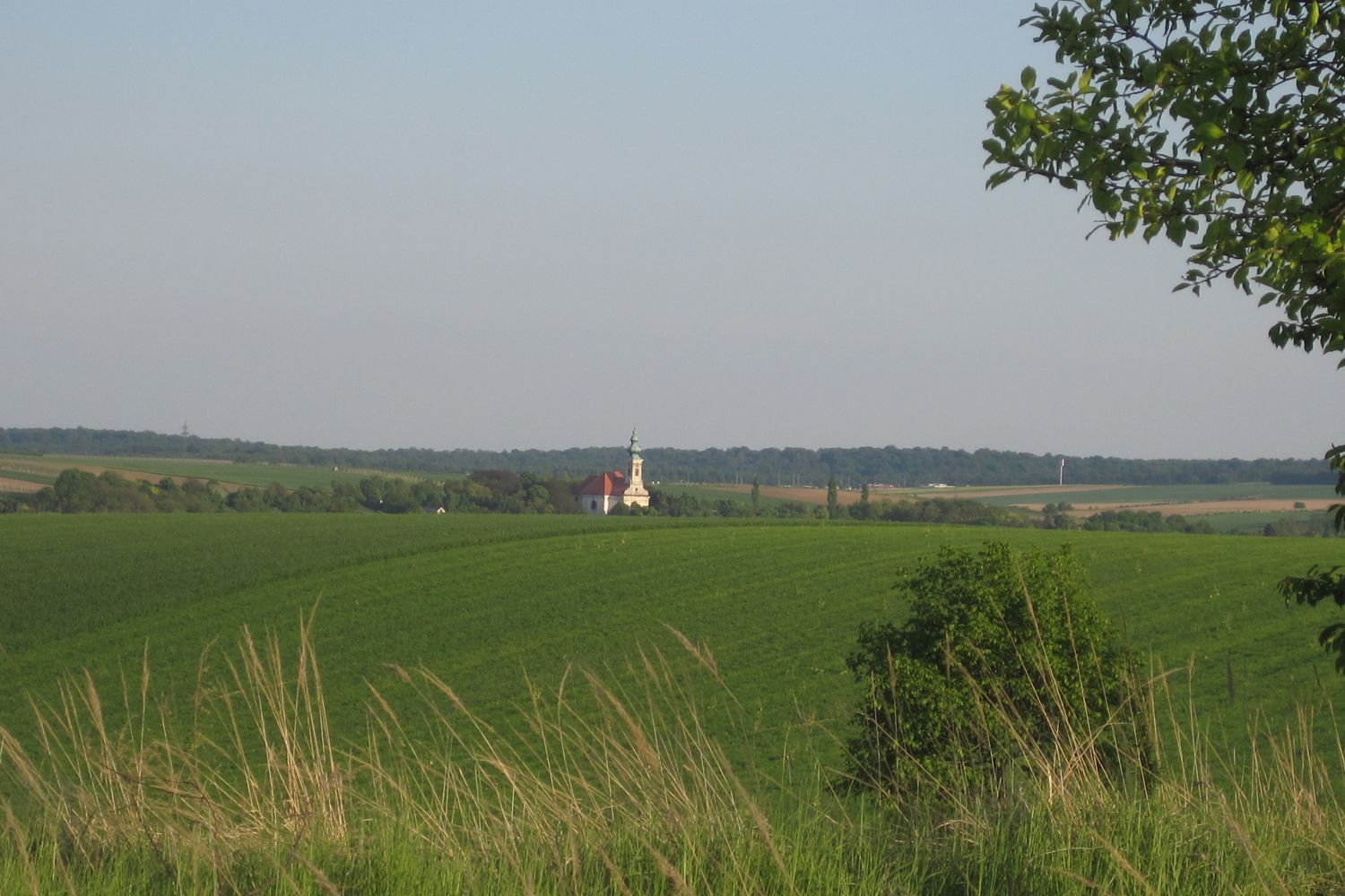 Landscape with a church in the distance, surrounded by green fields and trees.