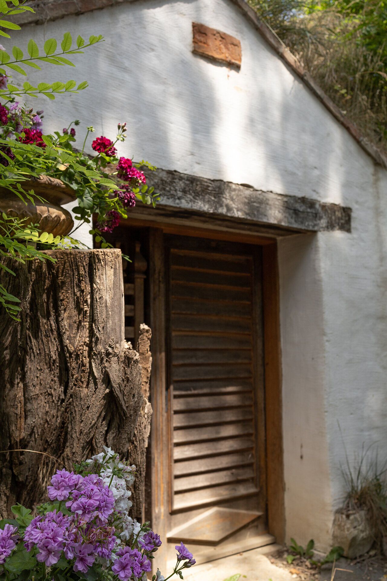 Ein einladender Eingang zu einem charmanten Rückzugsort, umgeben von blühenden Geranien und der warmen Ausstrahlung des Holzes. Die sanften Farben und die ruhige Atmosphäre laden dazu ein, die Seele baumeln zu lassen und die Natur in vollen Zügen zu genießen.