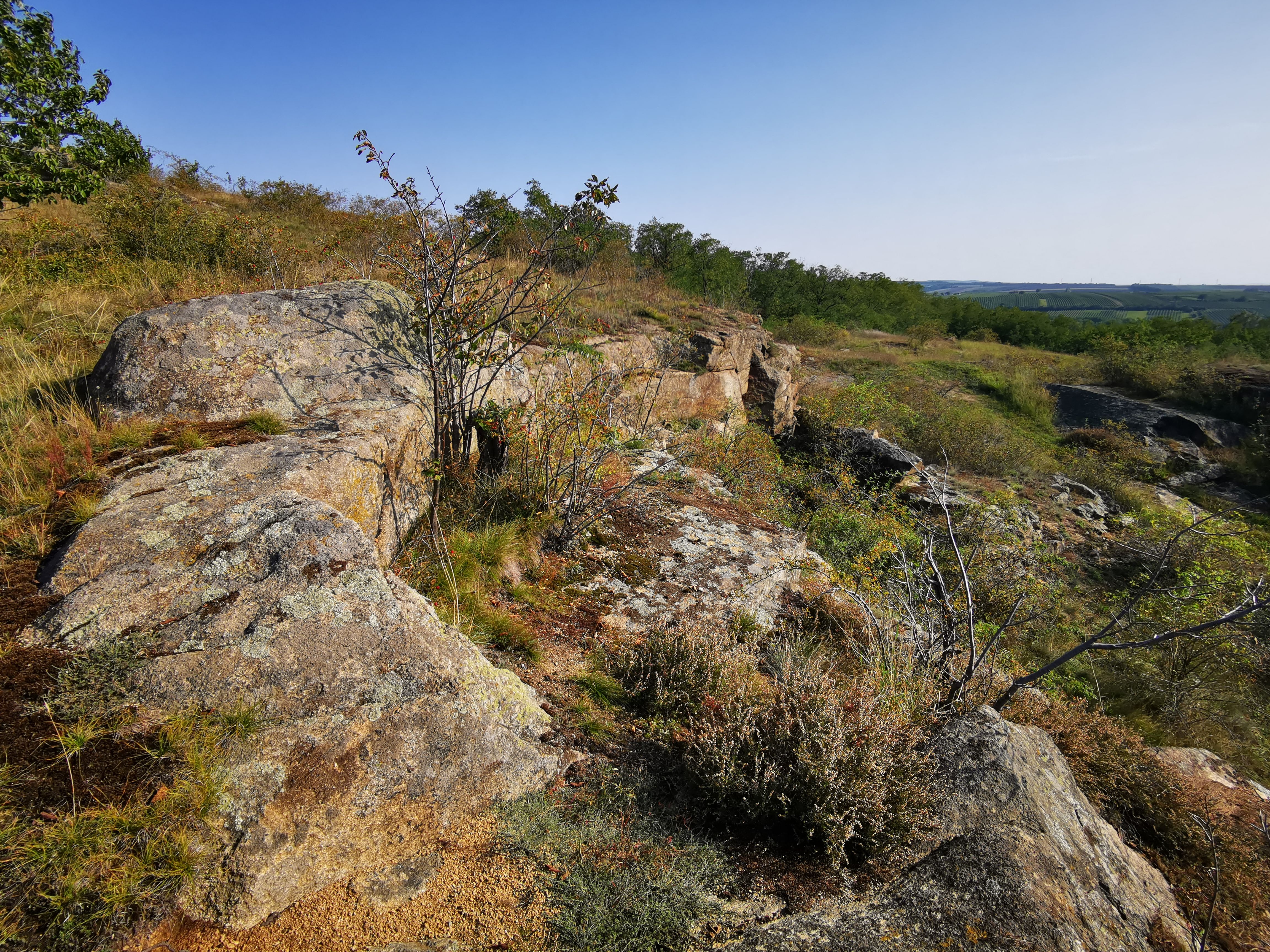 Rocky landscape with sparse vegetation and blue sky.