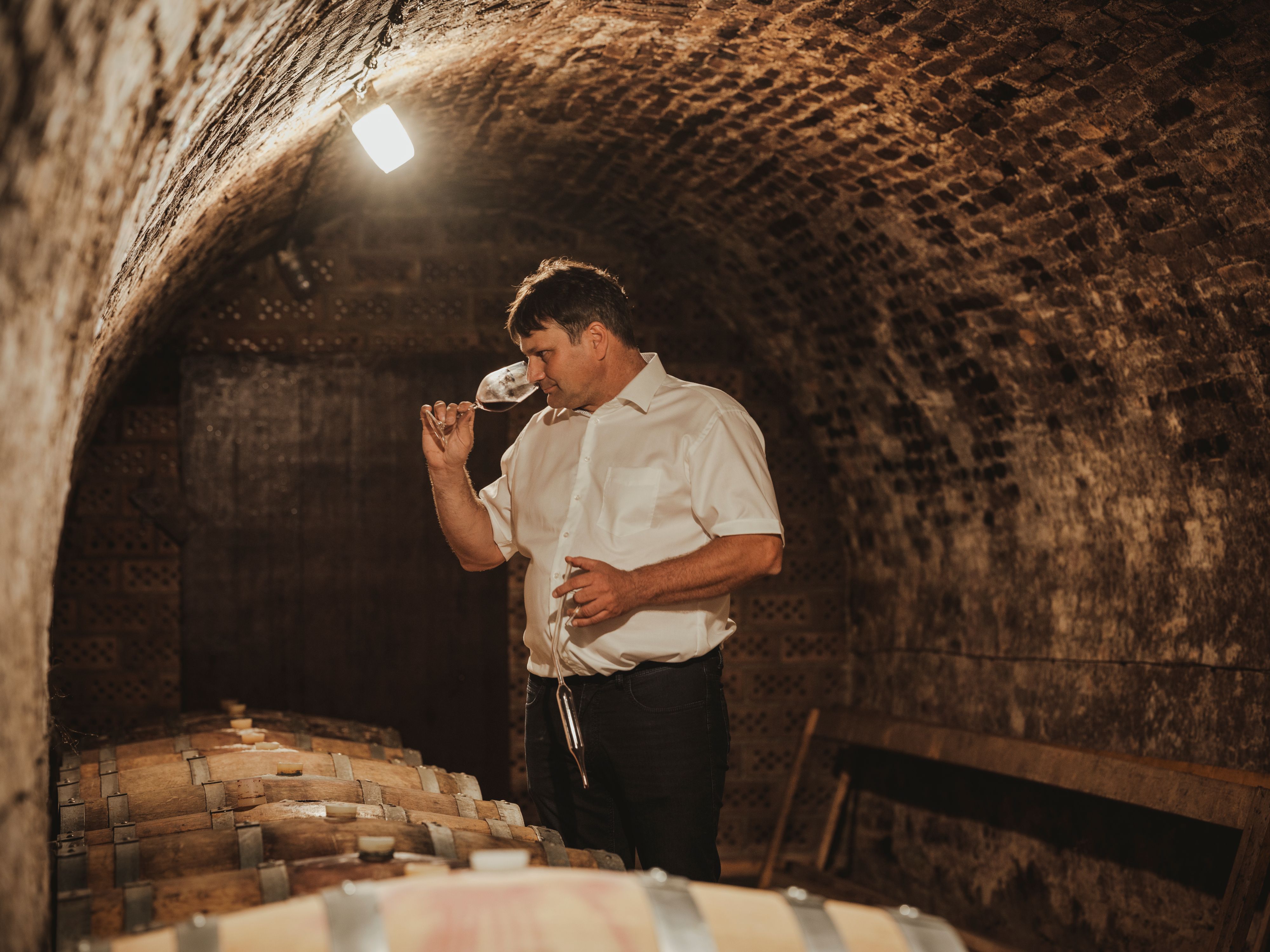 Man in a wine cellar smelling a wine glass.