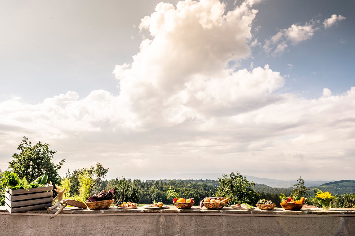 Various baskets of fruit and vegetables on a wall in front of a landscape with trees and clouds.