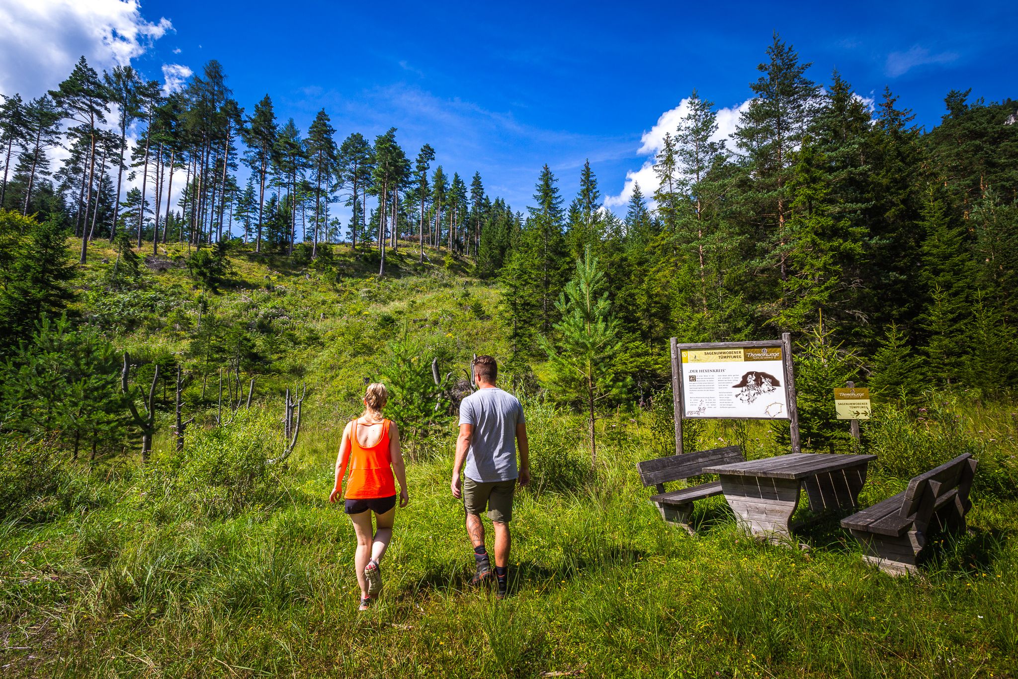 Theme station at the edge of the forest in a clearing